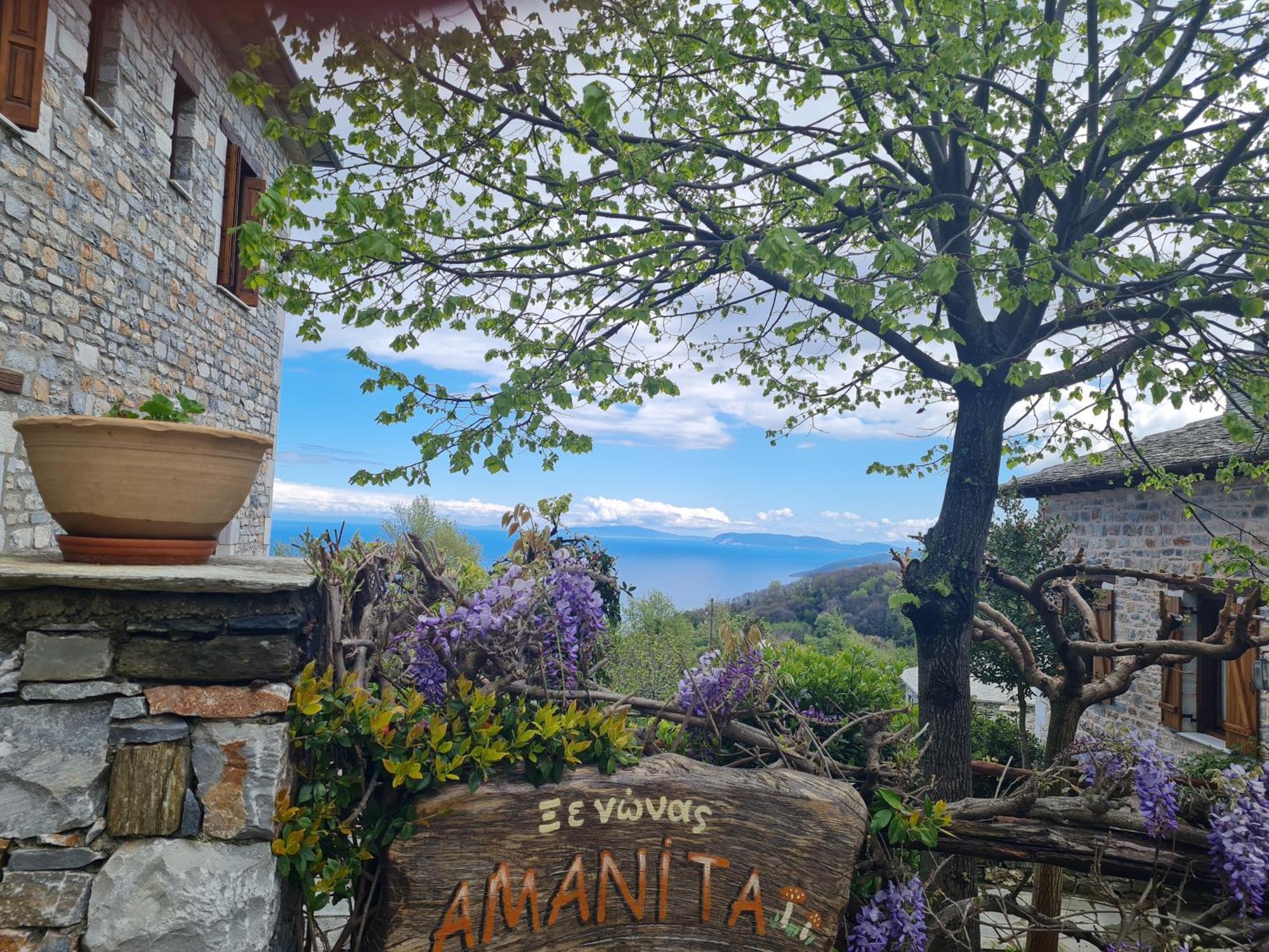 Amanita Boutique Hotel Tsagaráda Eksteriør bilde